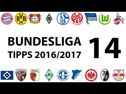 Bundesligatipps 14.Spieltag 2016/2017