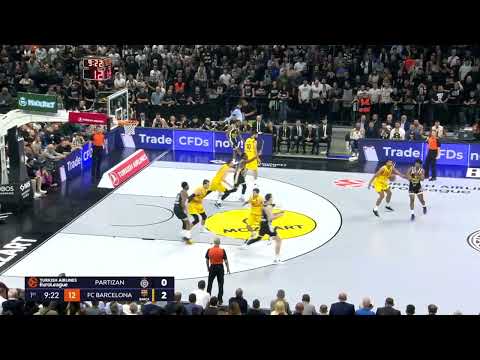 Partizan Flex Back Screen DHO