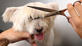 10 Things Foreigners Are Surprised by in America