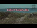 Octopus - Carnival Youth 