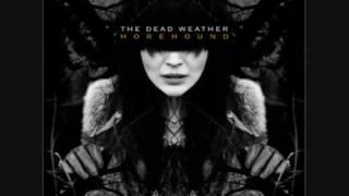 The Dead Weather New pony