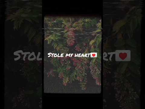 The music of saudebaazi❤️   #love #saudebazi #song