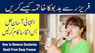 How to Remove Deodorize Smell from Deep Freezer in Hindi Urdu | You Plus