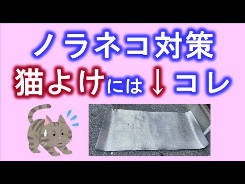 猫が庭に入らないようにするためのヒント