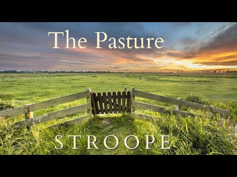 The Pasture - conducted by Z. Randall Stroope (composer)