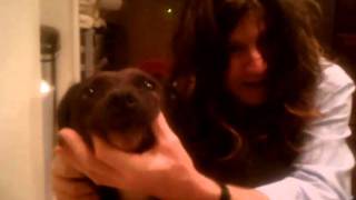 Ozzy Osbourne and his dog