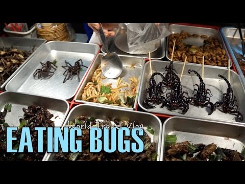 Eating BUGS - Khao San Road BANGKOK | World Travel