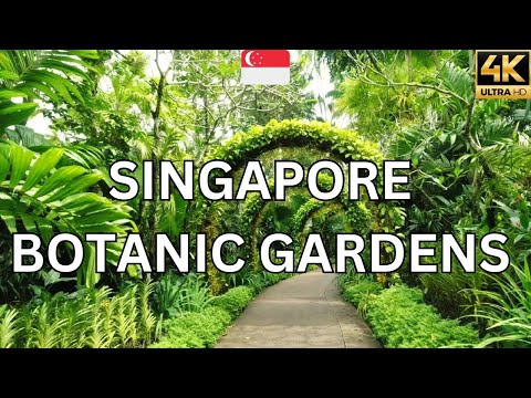 Singapore Botanic Gardens: Nature's Oasis in the Heart of the City  🇸🇬  Virtual Tour in 4K Ultra HD