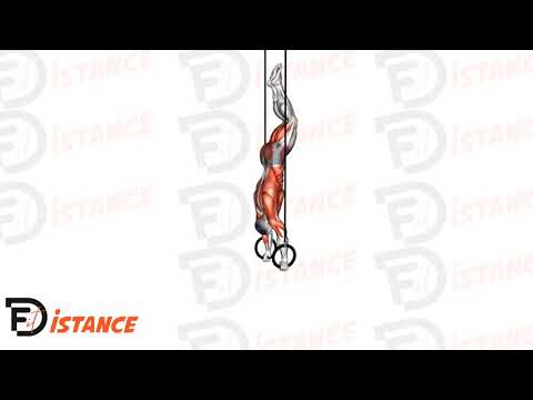 Exercice Handstand aux anneaux