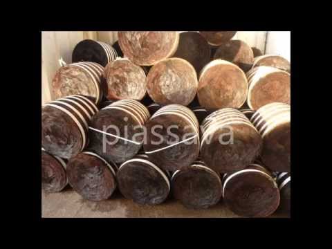 Barcelos Kap.3: Piassava