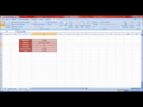 Tutorial Macros Excel: Base de Datos