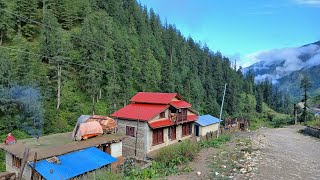 [問卦] 為什麼保存祖靈的智慧文化很重要？