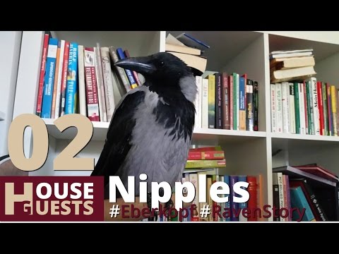 RavenStory No. 02 Rudi ... is ignoring the Nipples