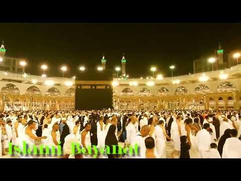 VideoEditor 10 26 2022 12 05 31 PM