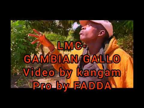 LMC_(GAMBIAN GALLO)