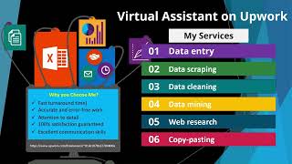 Expert Data Entry Virtual Assistant for Seamless Project Support