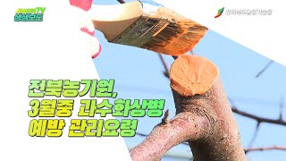 3월중 과수화상병 예방 관리요령