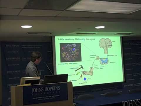 Hot and Spicy, Part I