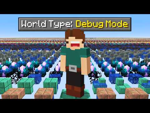 Can You Beat Minecraft's Secret Debug World?