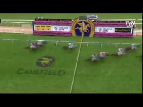 Ralphy's Wrap of racing Caulfield Cup Day