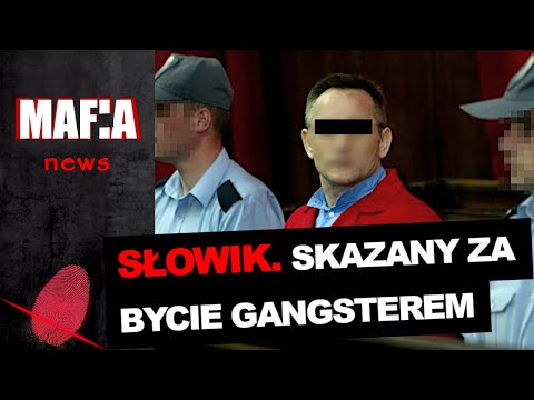 SŁOWIK. SKAZANY ZA BYCIE GANGSTEREM. RAMZES OSKARŻONY | Mafia News