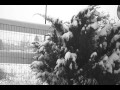 Vidia Wesenlund - Mammas Sang 