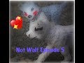 Not Wolf Episode 5 SEASON FINALE