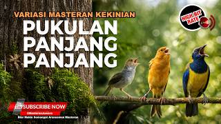 Download lagu 🔴 Live Masteran Pukulan Panjang Panjang Cucak Cungkok Gacor Kenari Sejalur Gacor Prenjak Tir mp3