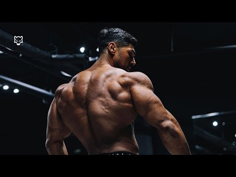 BAD WOLF 🐺 - Andrei Deiu