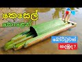 කෙසෙල් කොළෙන් මෝටර් බෝට්ටුවක් හදමුද​