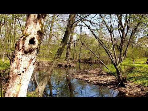 Baile Felix - Walking Trip, 4k, 2022