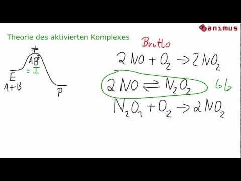 animus Tutorials: Vorgelagertes Gleichgewicht