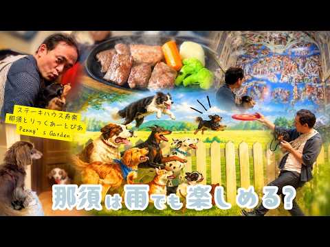 【犬連れ旅行栃木那須観光】雨の那須も悪くない⁈意外と楽しいランチ&観光1泊2日わんこ旅1/3 2026.7