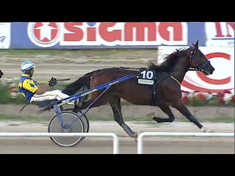 Napoli Trotto 13/10/2023 - 8ª corsa - TRIS