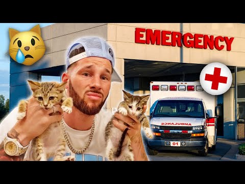 EMERGENCY HOSPITAL VISIT FOR OUR BABY KITTENS 💔 | FamousTubeFamily
