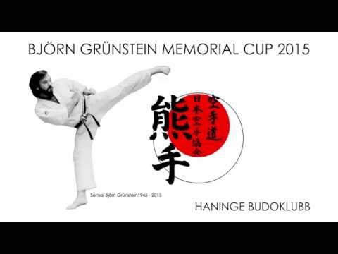 BGMC 2015 Semifinal1 Kumite Herrar Öppen