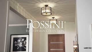 Watch A Video About the Possini Euro Milne Bronze and Brass Ceiling Light