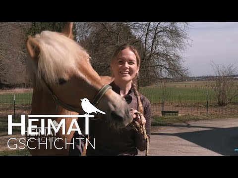 Bayerns größter Reit- und Voltigierverein: der RVC Gilching aus Germering