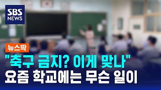 "쉬는 시간 축구 금지? 이게 맞나"..요즘 학교에는 무슨 일이 / SBS / 뉴스딱