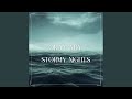 STORMY NIGHTS