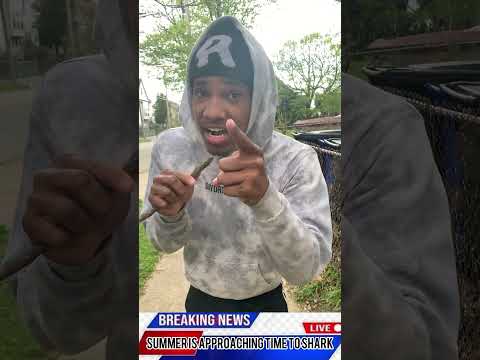 THE BEST NEWS I EVER GOT