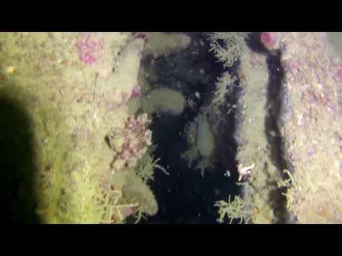 Bayern Turrets, Scapa Flow, October 2013