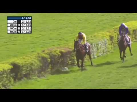 Preis der Frühlingsboten, Berlin Hoppegarten 16 04 2017   GE