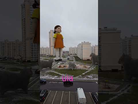 red u i a green u i a #cats #Netflix #squidgame