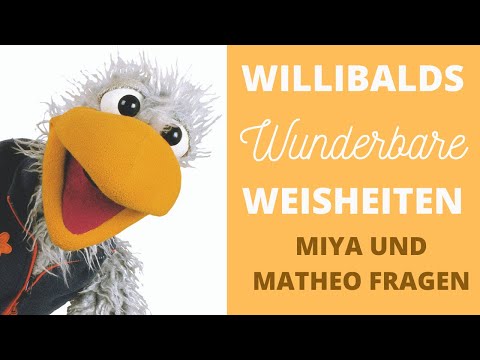 Willbalds wunderbare Weisheiten 9 - Miya und Matheo fragen