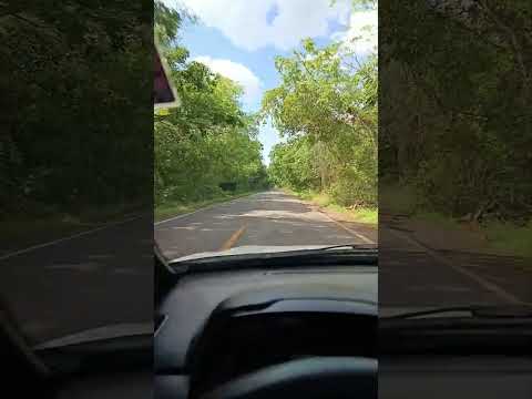 Nas estradas de Goiás, saída de Goiânia a Sandolândia, Tocantins