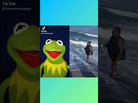 Kermit The Frog Says Goodbye To Kathy TIKTOK