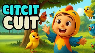 Download lagu Cit Cit Cuit Burung Bernyanyi | Petualangan Hisyam dan Binatang | Animasi 3D Anak mp3