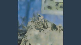Salmon Music Video
