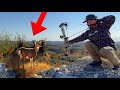 Bowhunting Whitetail Deer In The Appalachian Mountains
